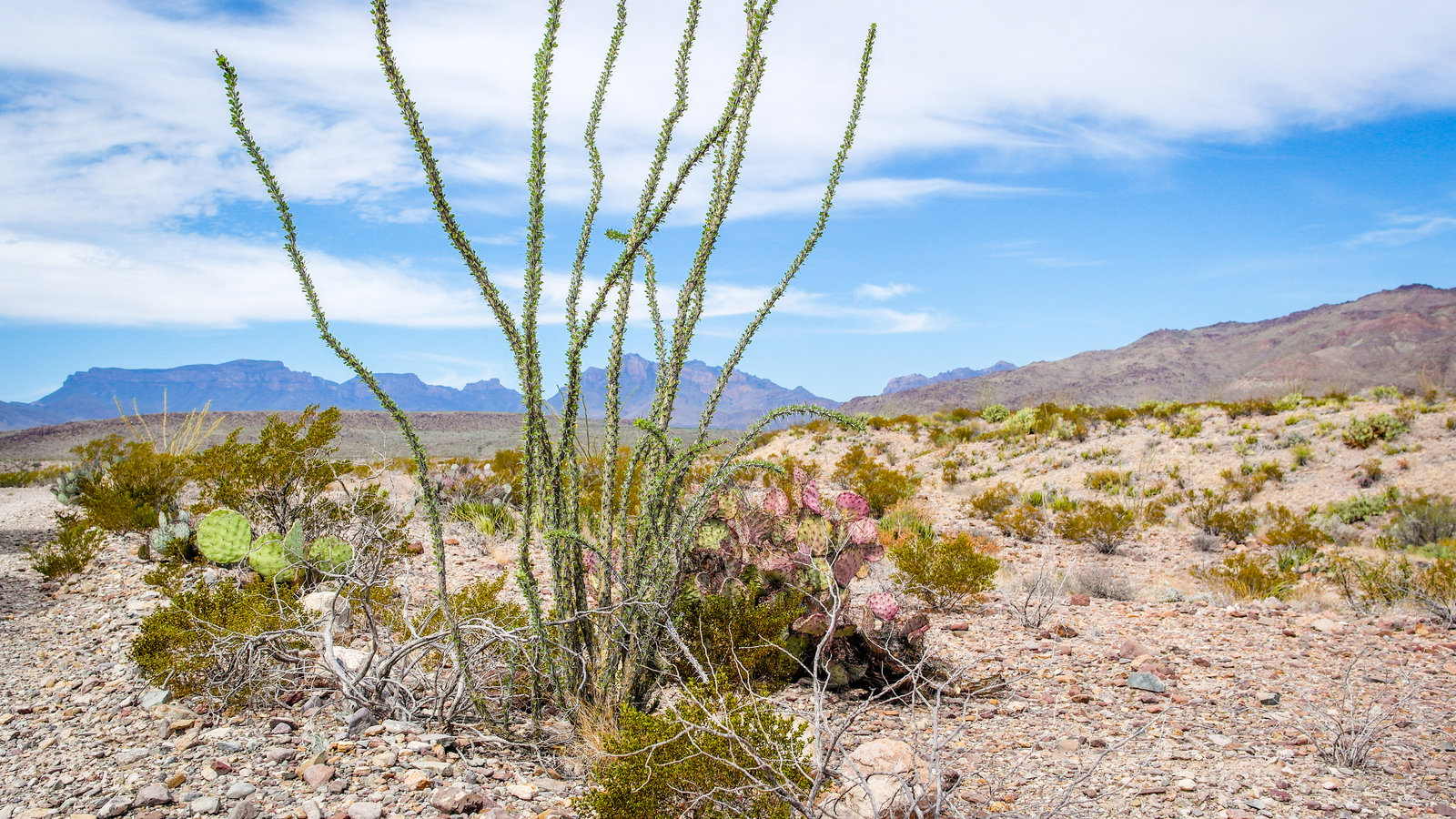 How to Big Bend